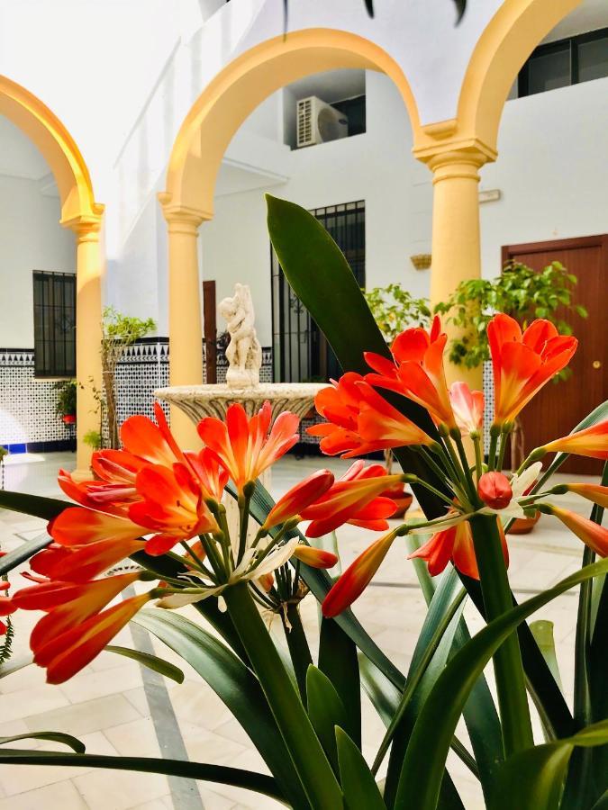 Fabuloso Loft en Centro Histórico de Córdoba. Tendillas-Mezquita-Catedral. Exterior foto