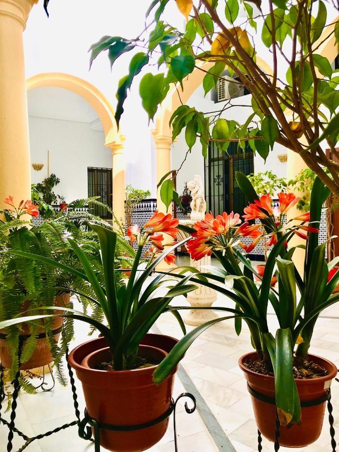 Fabuloso Loft en Centro Histórico de Córdoba. Tendillas-Mezquita-Catedral. Exterior foto